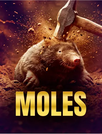 Moles arcade game on Govinda365